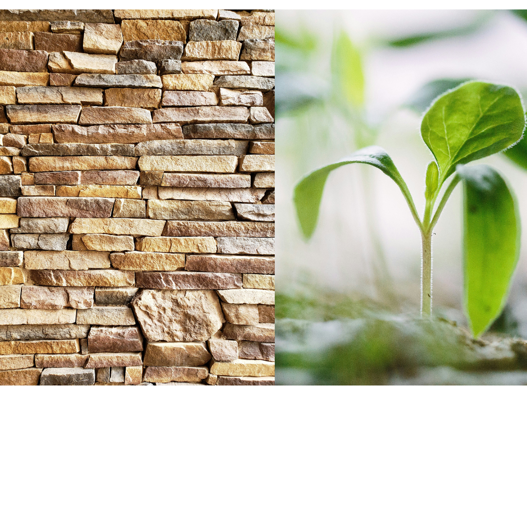 Re-imagining resilience